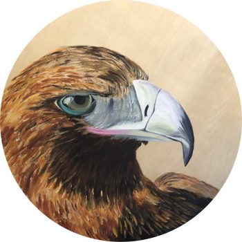 Eagle-Ethiopia-scaled